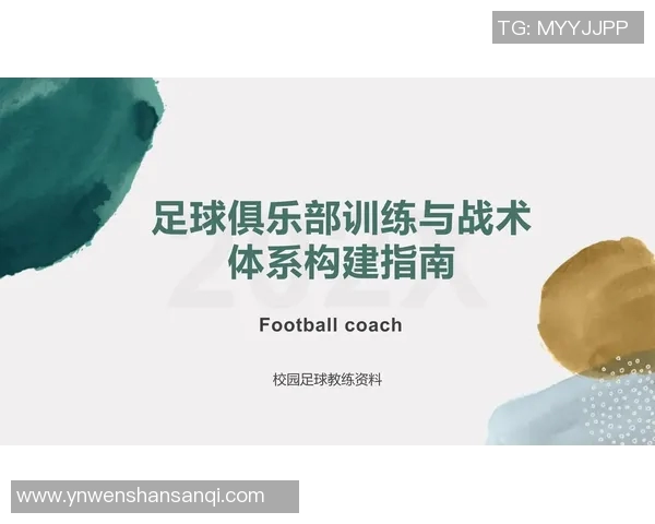 深圳足球队进攻体系解析：战术布局与球员配合的完美结合